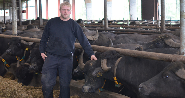 waterbuffels mestscheiden dikke fractie